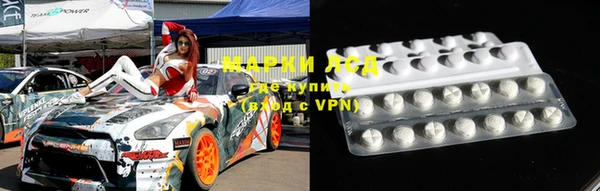 индика Бронницы