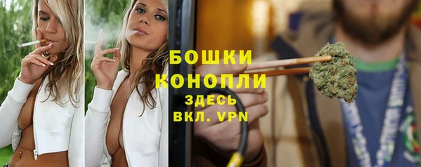 apvp Бородино