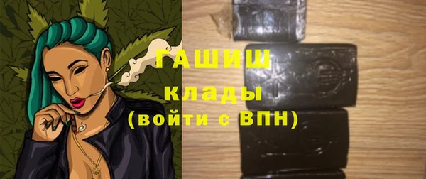 индика Бронницы