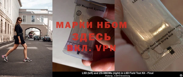 индика Бронницы