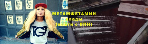 индика Бронницы