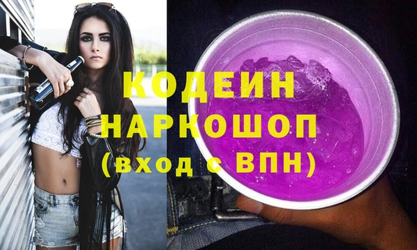 apvp Бородино