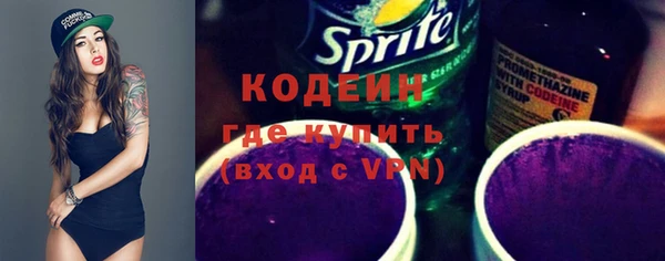 индика Бронницы