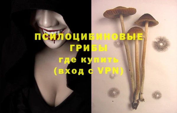 индика Бронницы