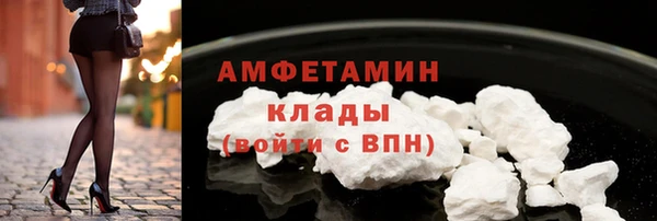 индика Бронницы