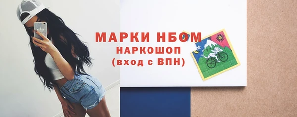 apvp Бородино