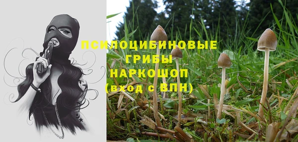 индика Бронницы