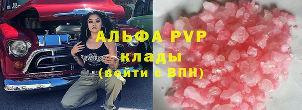 индика Бронницы