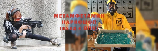 индика Бронницы
